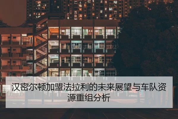 han-mi-er-dun-jia-meng-fa-la-li-de-wei-lai-zhan-wang-yu-che-dui-zi-yuan-chong-zu-fen-xi-2-672.jpg