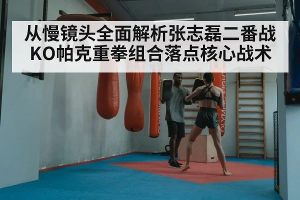 Zhang Zhilei boxing punch combination